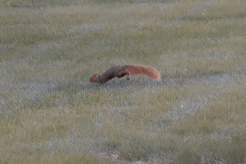 Auto_MG_5126-topazPhotoAI200-enhance-6x-exposure-denoiseraw-color