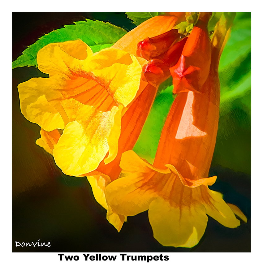 060918_104019_40-XTIQ_()