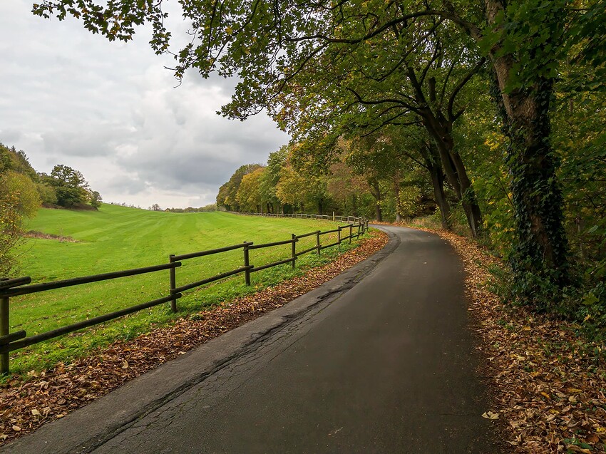 APC_2496-PAI_1_3_5_DNv2-denoise