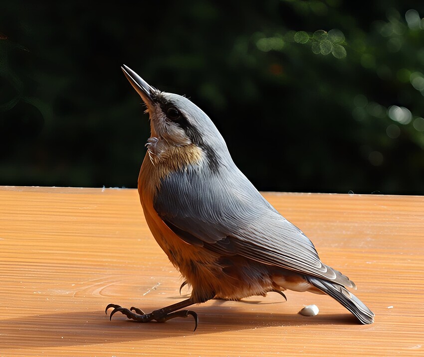 IMG_3183-topaz-sharpen-focus-crop