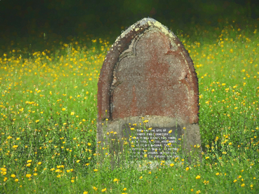 a%20park%20grave%20stone%20ts%20pointism