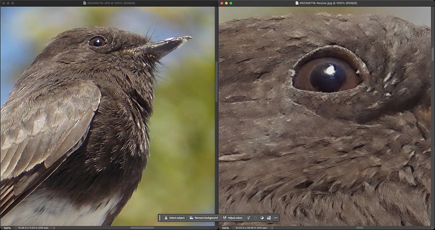 Screenshot 2026-01-24 at 3.12.16 PM