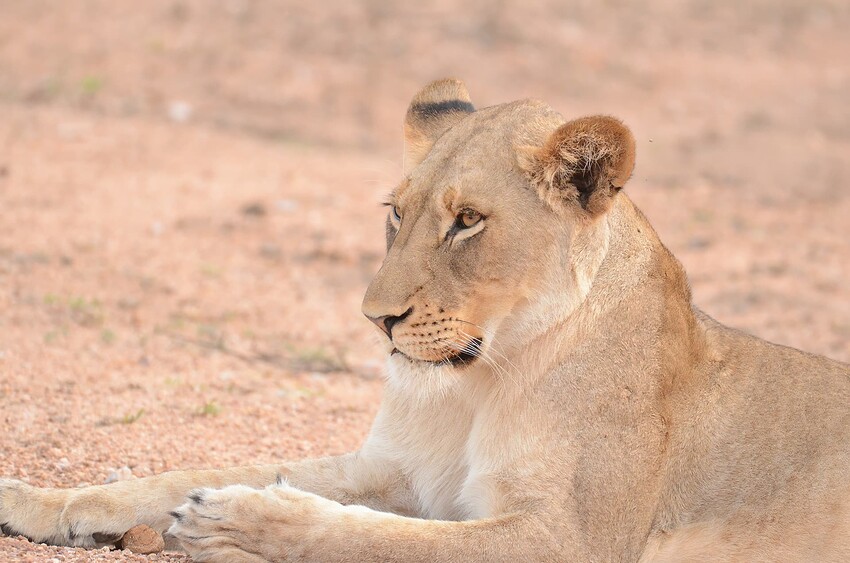 Folder6 - (17)-topaz-denoise-sharpen