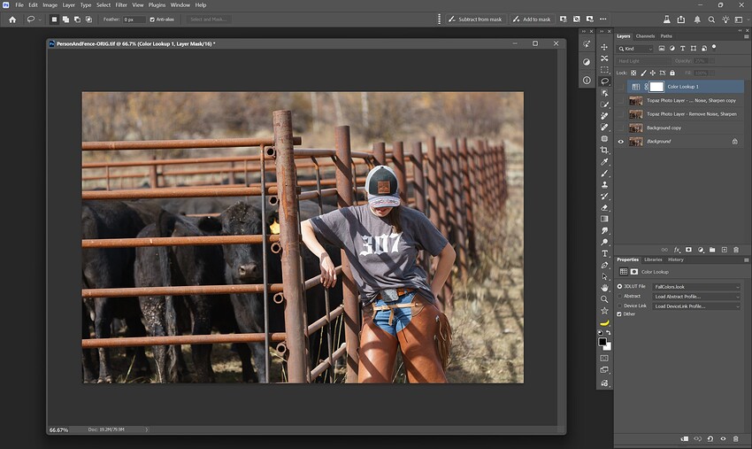 Fotomaker_AdobeStock-CowgirlFenceCows-ORIG