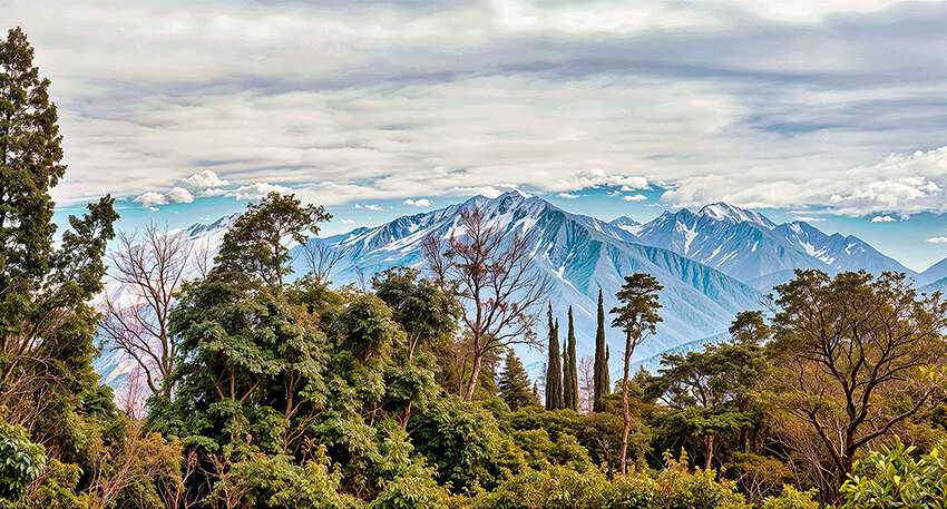 scenic1-redefine-creative-6x-RAD-NEO