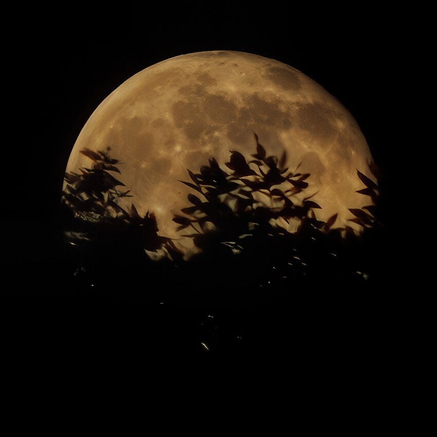 P6131030crop-topaz-redefine-creative-4x