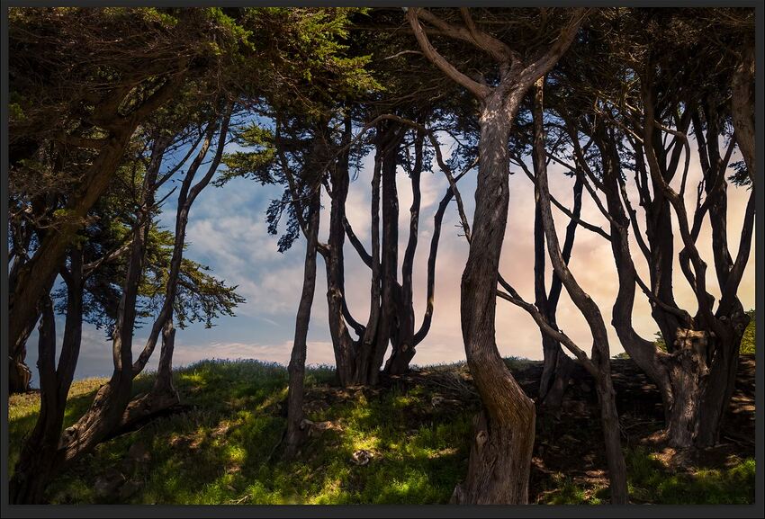 Fotomaker_LandsEnd-OriginalPhoto_TopazDeNoisePs2022Plugin