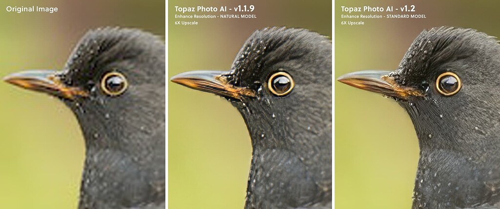 community.topazlabs.com