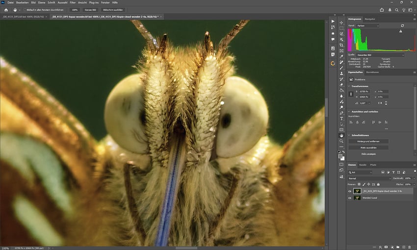 Screenshot 2026-02-27 220308