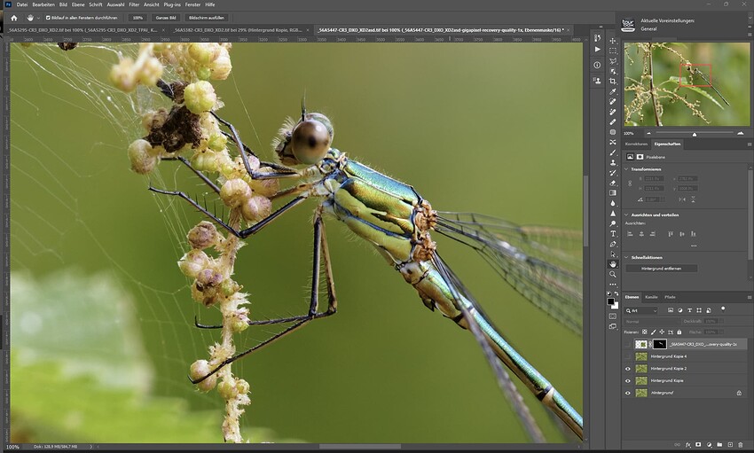 Screenshot 2024-07-13 181103