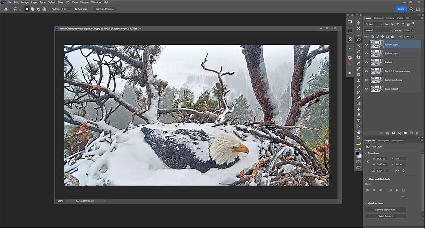 Fotomaker_PAI1-1-7_W11Ps2023Plugin-SharpeningCausedPixelHopBackOnLayer