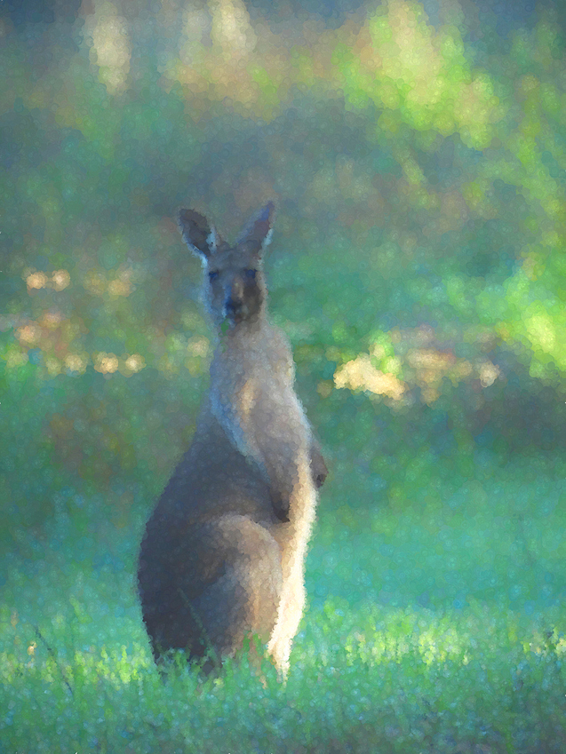 a%20mumma%20roo%20ts%20pointism