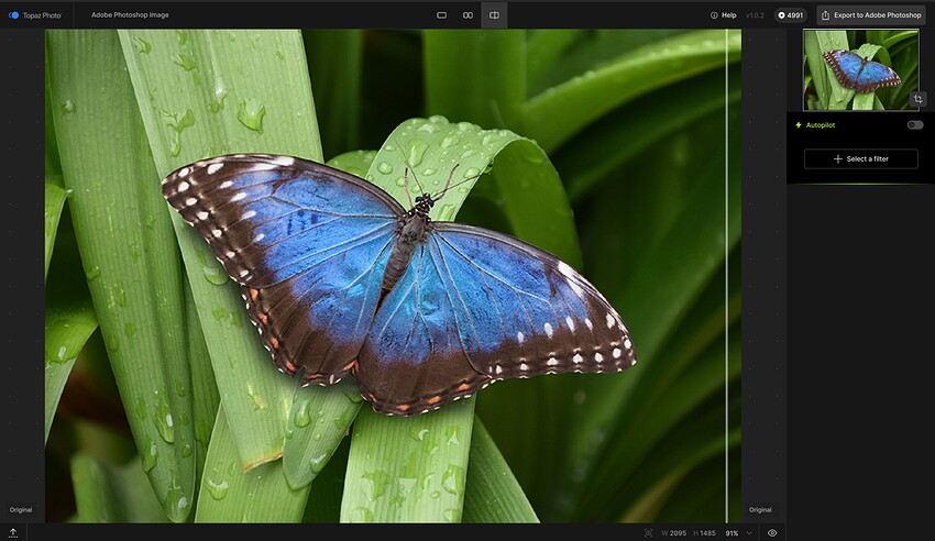 Fotomaker_Butterfly-BEFORE