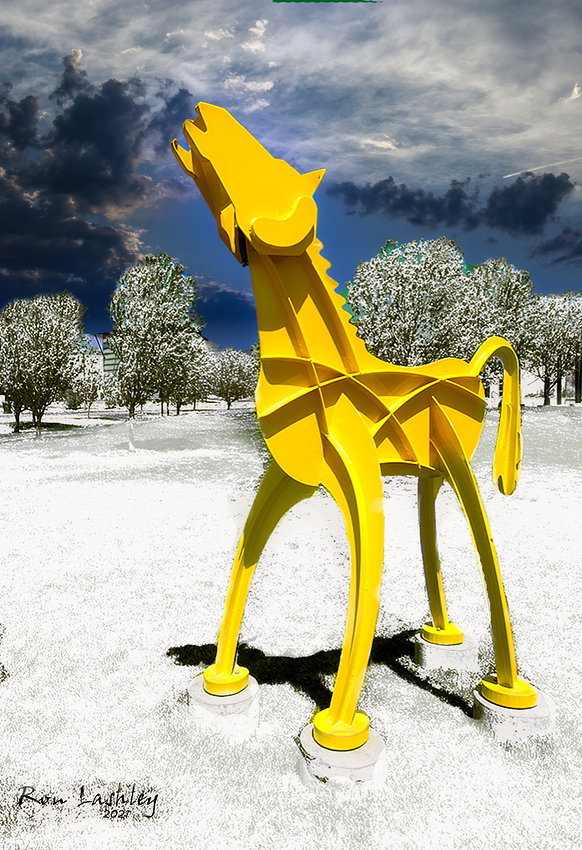 Yellow%20horse%20snow