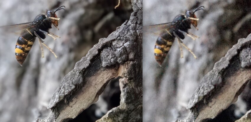 Captura de pantalla 2024-01-16 a las 9.42.02