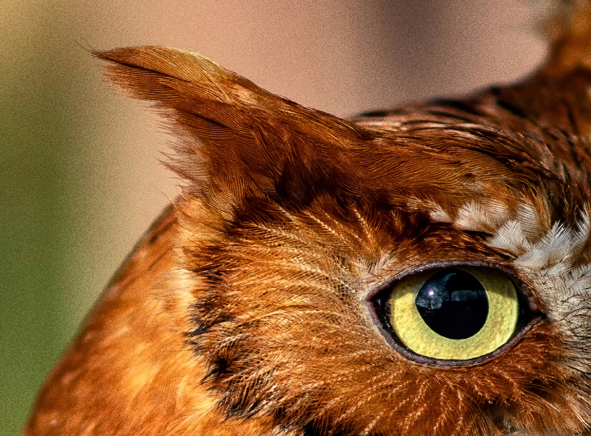 Screenshot 2026-01-22 at 5.03.51 PM