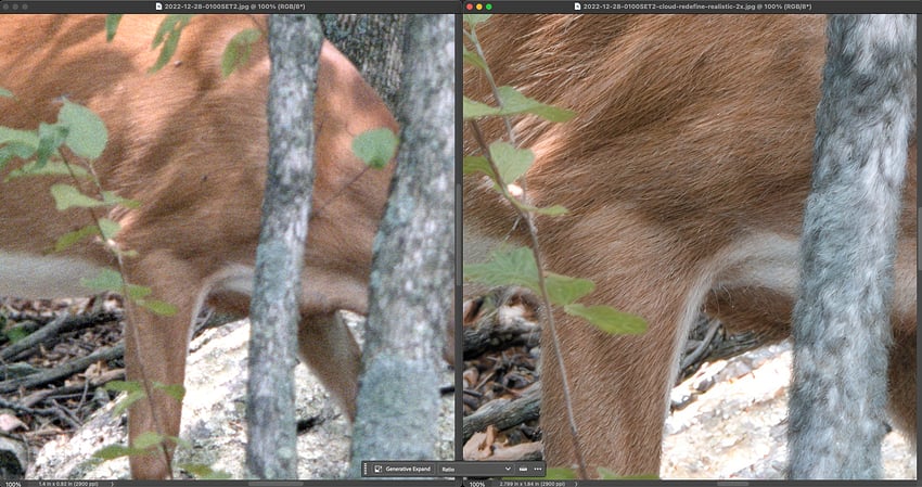 Screenshot 2026-01-24 at 11.41.00 AM