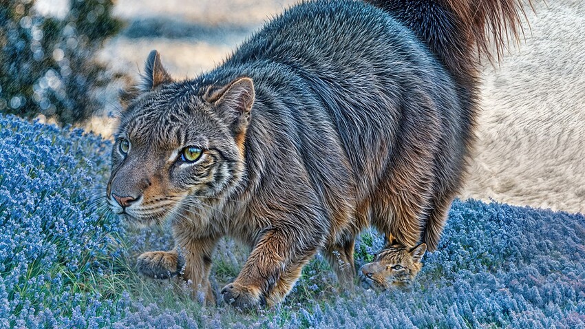 Screenshot 2024-11-25 at 6.11.42 PM