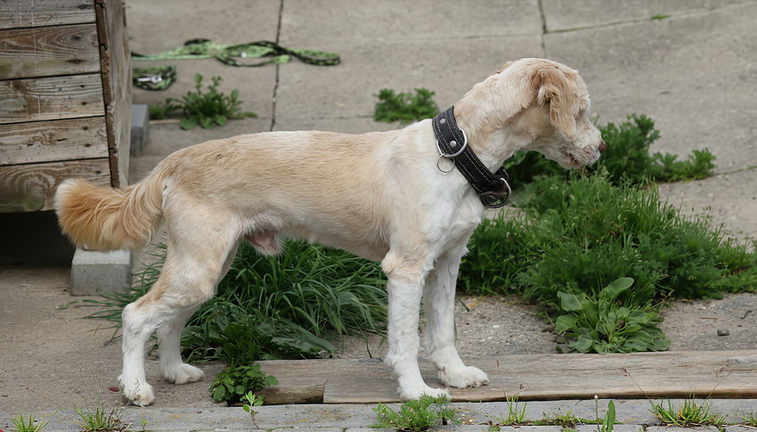 Generated Image November 09, 2025 - 8_03PM