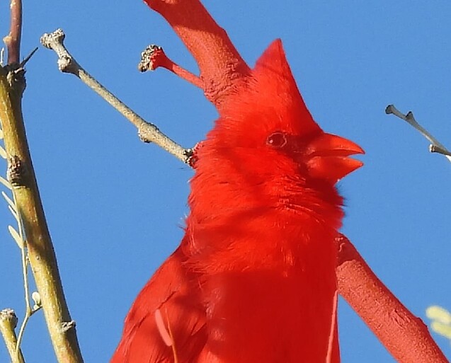 Screenshot_20230219_022422