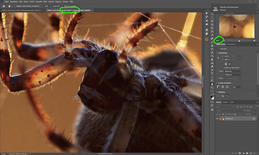 Screenshot 2026-02-06 224032