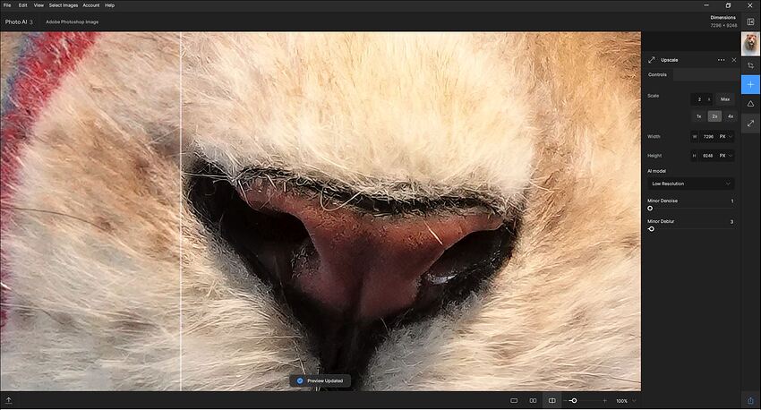 Fotomaker_PAI3-0-2_StillCouldUseStartingDimensionsToo