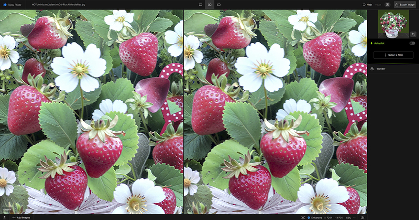 Fotomaker_W11-TP131_Standalone-BeforeAfter_WonderLocal