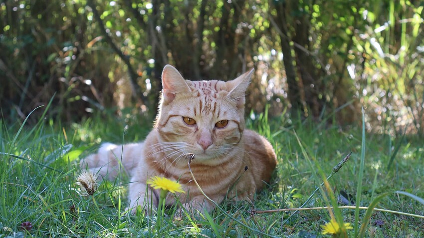 IMG_3140-topaz-sharpen-face