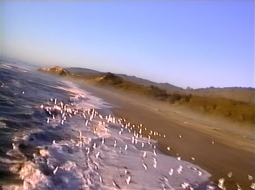 Screenshot 2025-11-07 at 11.08.14 PM