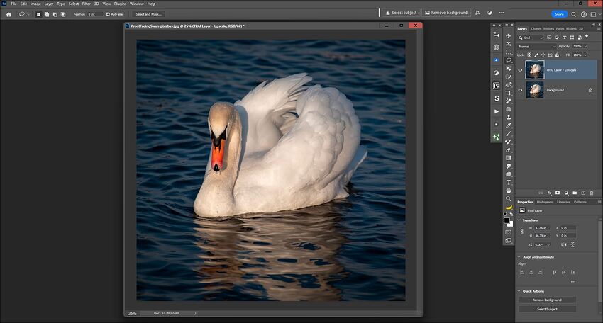Fotomaker_PAI212-W11Ps2024Plugin-OpensUpscales