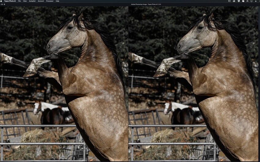 Screen Shot 2022-09-18 at 10.22.43 PM