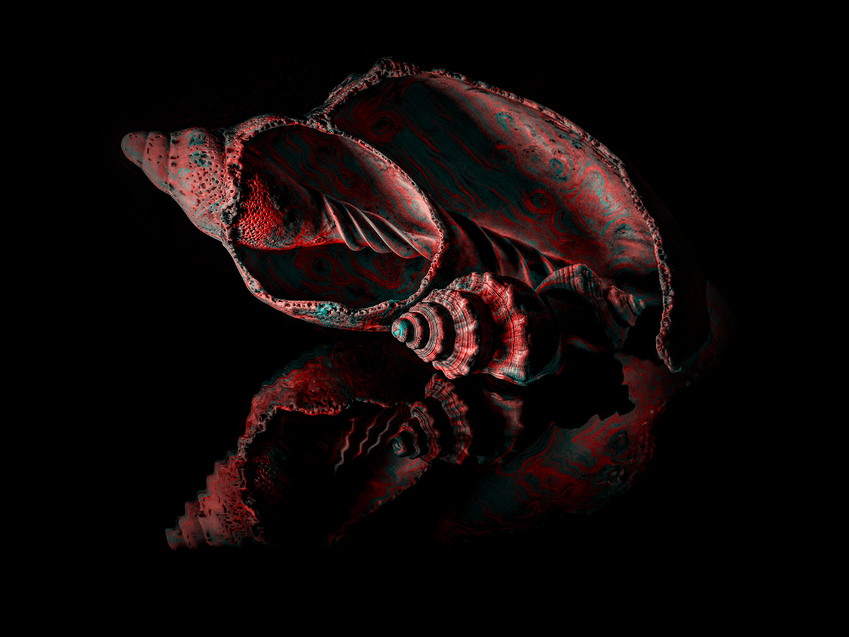 a%20shell%20reflection%20AIR%20cyanetic