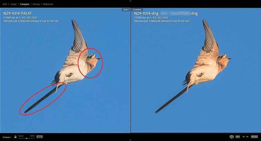 Screenshot (13) copy