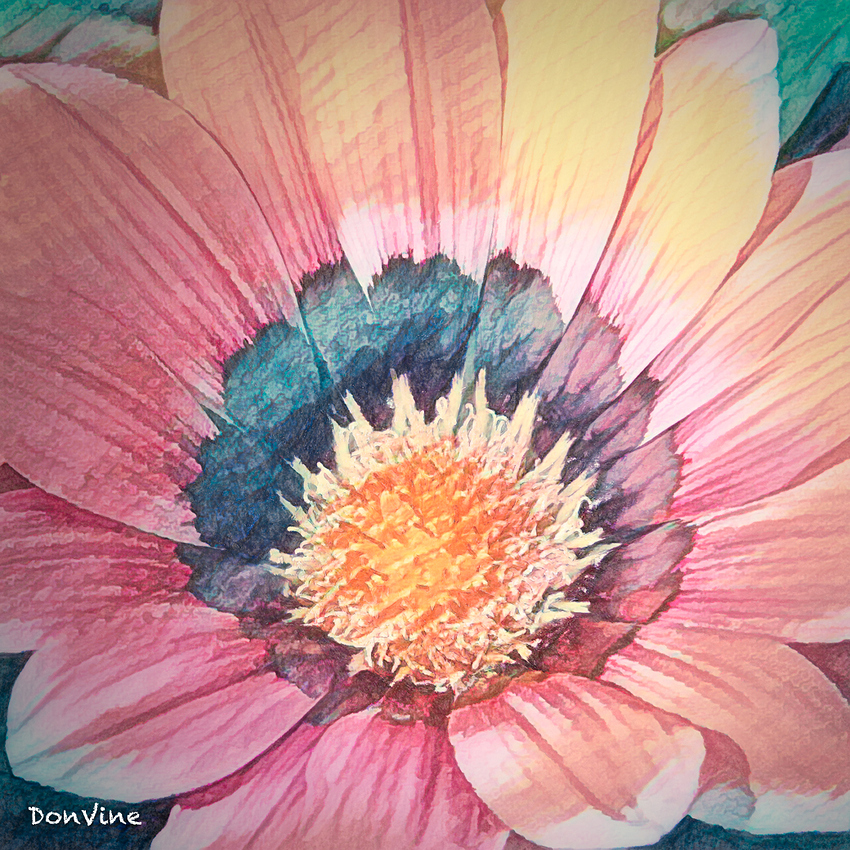 030608_161656_7703%20copy