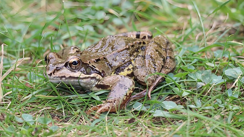 IMG_3066-topaz-sharpen-focus