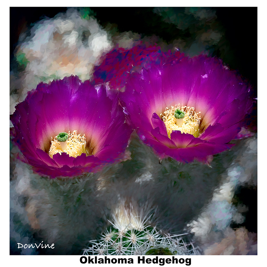 _()_030525_135240_23566-XTIQ