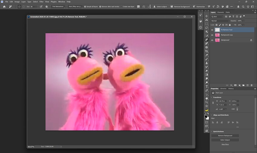 Fotomaker_Ps_RemoveTool