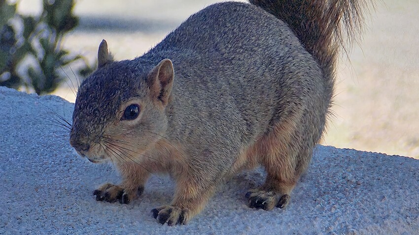 Screenshot 2024-11-25 at 6.11.55 PM