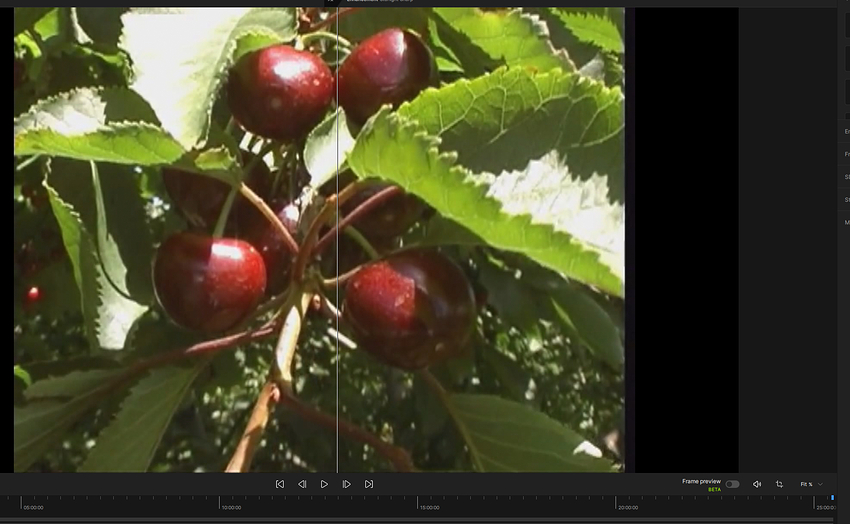 Screenshot 2025-12-20 123151