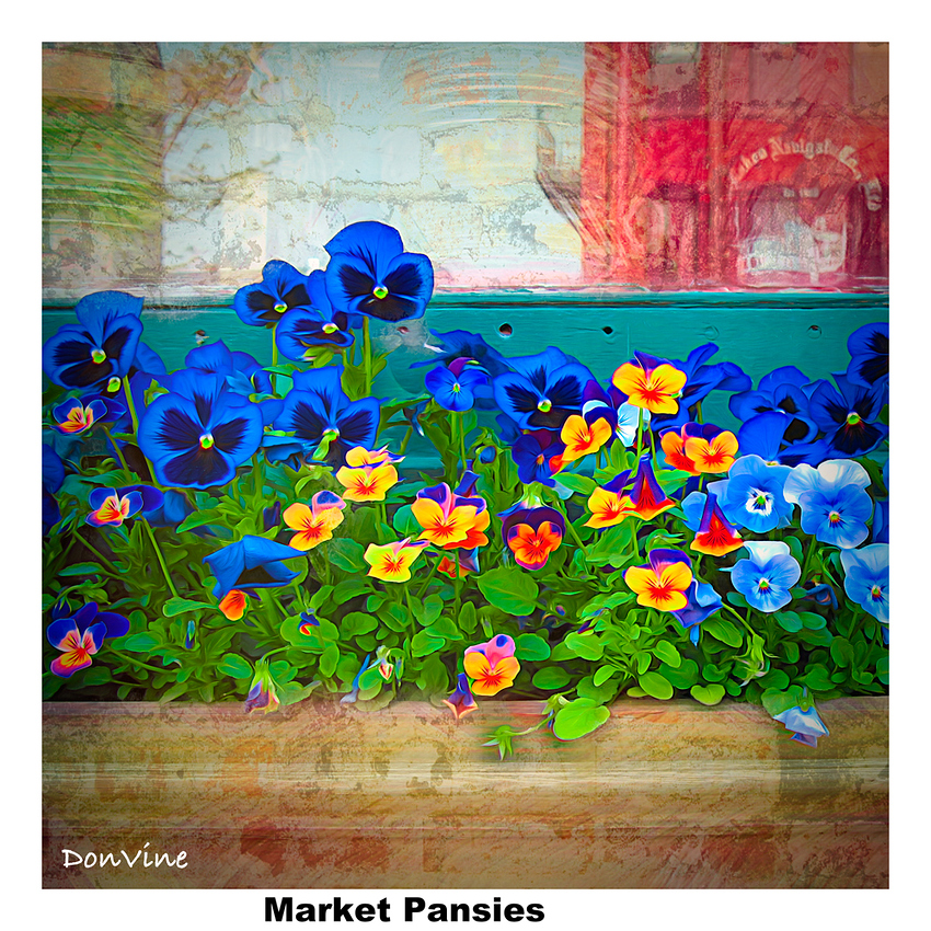 _()_070523_124207_46-XTIQ