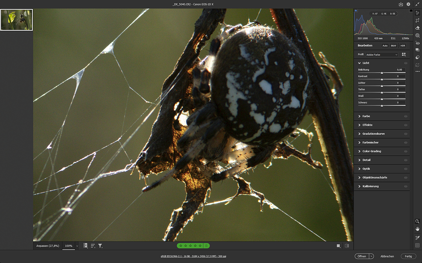 Screenshot 2026-01-07 210559