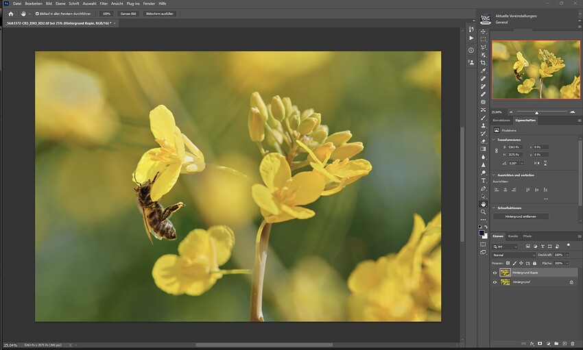 Screenshot 2024-04-28 215747