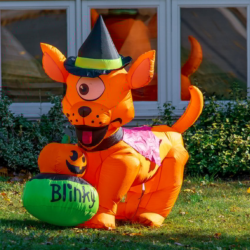 Blinky%20Original%20Photo%20%7BHalloween%202020%7D%3DKRM01