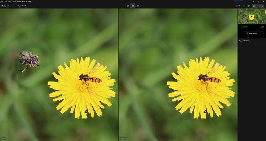 Hoverfly_Snap_Monday, March 2, 2026_14h7m50s