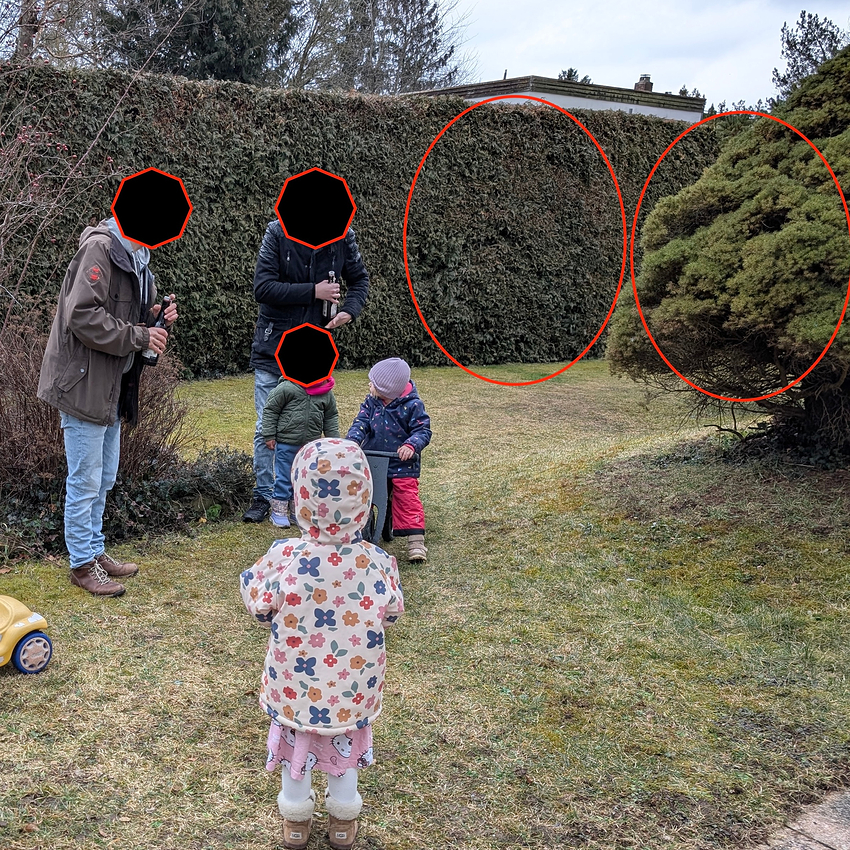 PXL_20260214_124308002