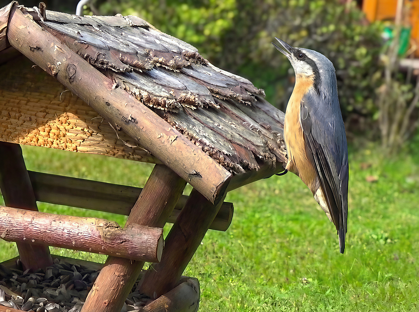 ComfyUI_temp_mosld_00003_