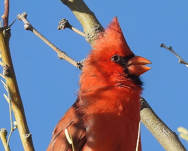 20230208_084703_DSCN7848C-PAI