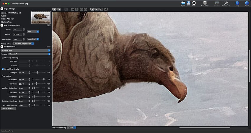 Screen Shot 2022-08-12 at 4.45.53 PM