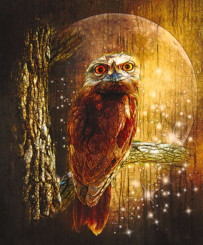 tawn%20with%20moon%20and%20stars%20big%20eyes%20velvetfeel