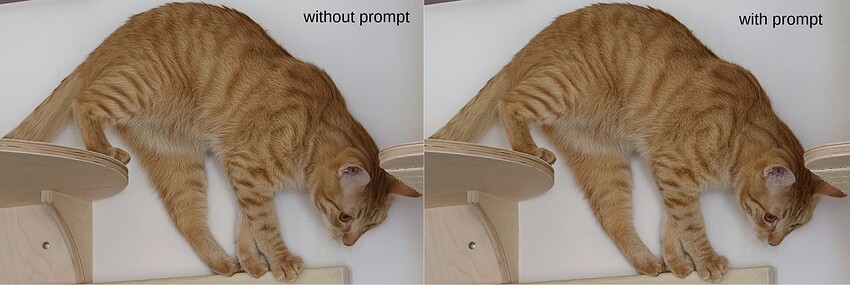 cat without and with prompt